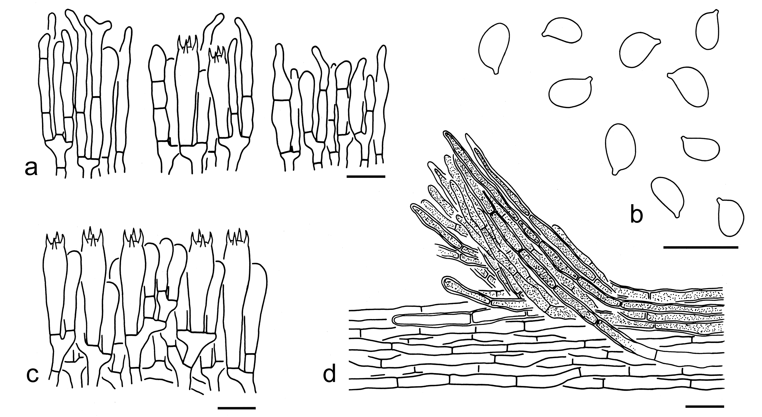 Figure 91